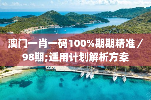 澳門一肖一碼100%期期精準(zhǔn)／98期;適用計(jì)劃解析方案