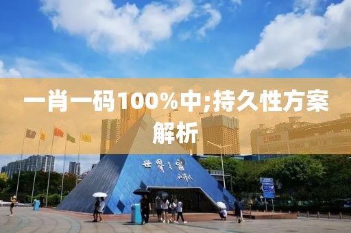 一肖一碼100%中;持久性方案解析