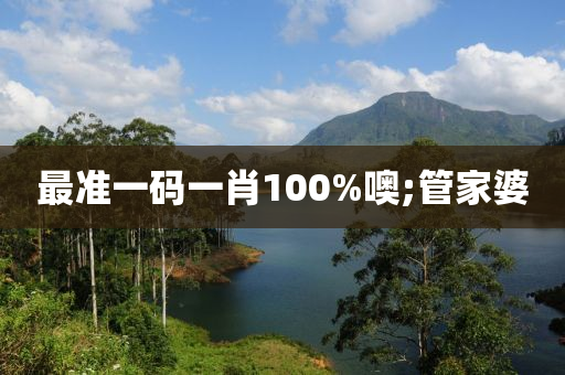 最準(zhǔn)一碼一肖100%噢;管家婆