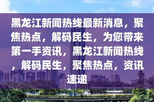 黑龍江新聞熱線最新消息，聚焦熱點，解碼民生，為您帶來第一手資訊，黑龍江新聞熱線，解碼民生，聚焦熱點，資訊速遞