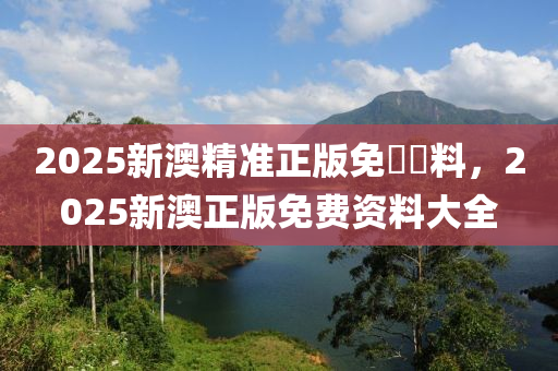 2025新澳精準(zhǔn)正版免費(fèi)資料，2025新澳正版免費(fèi)資料大全