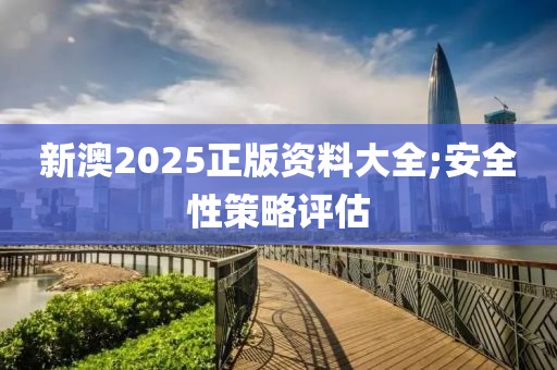 新澳2025正版資料大全;安全性策略評(píng)估