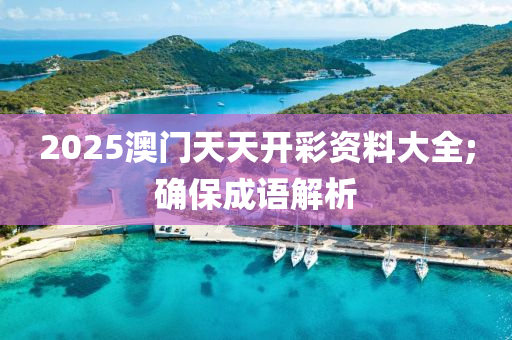 2025澳門天天開彩資料大全木工機(jī)械,設(shè)備,零部件;確保成語解析