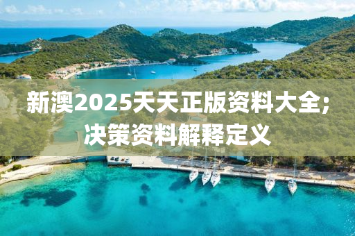 新澳2025天天正版資料大全;木工機(jī)械,設(shè)備,零部件決策資料解釋定義