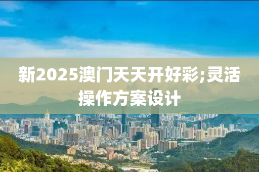 新2025澳門天天開好彩;靈活操作方案設(shè)計