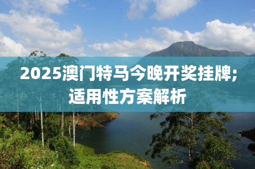 2025澳門特馬今晚開獎(jiǎng)掛牌;適用性方案解析