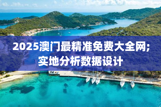 2025澳門最精準免費大全網;實地分析數據設計