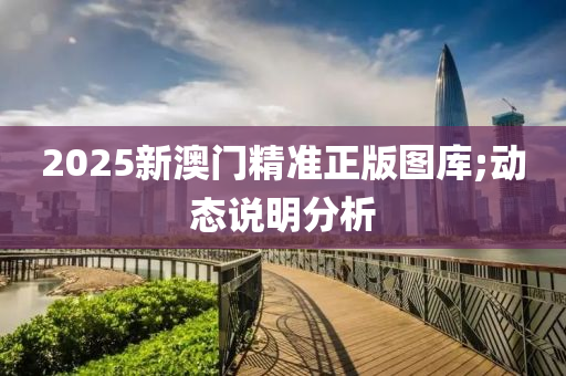 2025新澳門精準(zhǔn)正版圖庫;動態(tài)說明分析