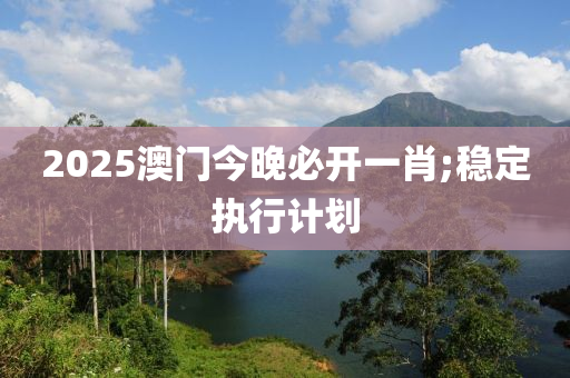 2025澳門今晚必開一肖;穩(wěn)定執(zhí)行計劃