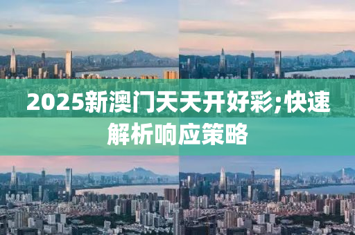 2025新澳門天天開好彩;快速解析響應(yīng)策略