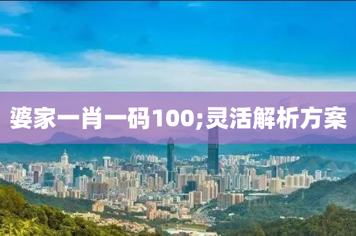 婆家一肖一碼100;靈活解析方案