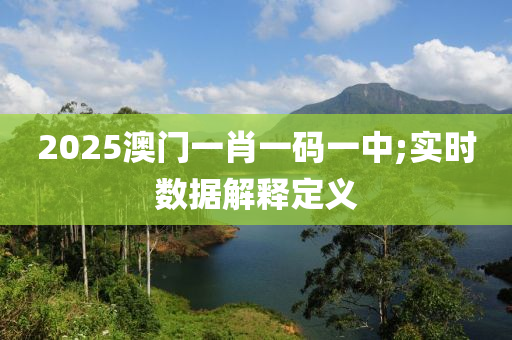 2025澳門一肖一碼一中;實(shí)時(shí)數(shù)據(jù)解釋定義