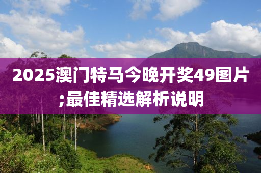 2025澳門特馬今晚開獎49圖片;最佳精選解析說明