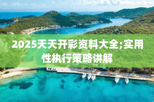 2025天天開彩資料大全;實用性執(zhí)行策略講解