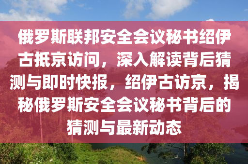 俄羅斯聯(lián)邦安全會(huì)議秘書紹伊古抵京訪問，深入解讀背后猜測(cè)與即時(shí)快報(bào)，紹伊古訪京，揭秘俄羅斯安全會(huì)議秘書背后的猜測(cè)與最新動(dòng)態(tài)木工機(jī)械,設(shè)備,零部件