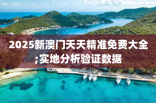 2025新澳門天天精準免費大全;實地分析驗證數據木工機械,設備,零部件