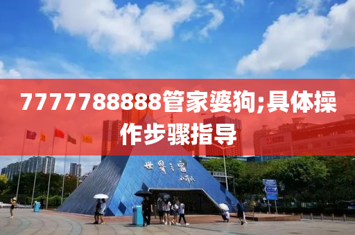 7777788888管家婆狗;具體操作步驟指導(dǎo)