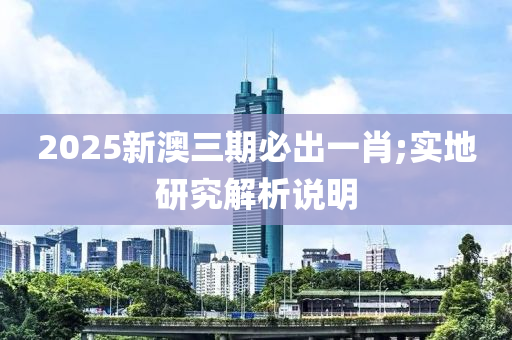 2025新澳三期必出一肖;實地研究解析說明