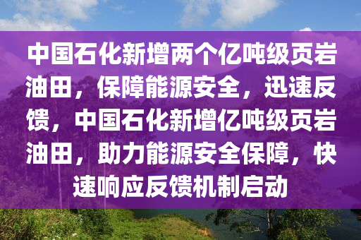 木工機(jī)械,設(shè)備,零部件中國石化新增兩個(gè)億噸級(jí)頁巖油田，保障能源安全，迅速反饋，中國石化新增億噸級(jí)頁巖油田，助力能源安全保障，快速響應(yīng)反饋機(jī)制啟動(dòng)