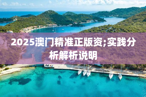 2025澳門精準(zhǔn)正版資;木工機械,設(shè)備,零部件實踐分析解析說明