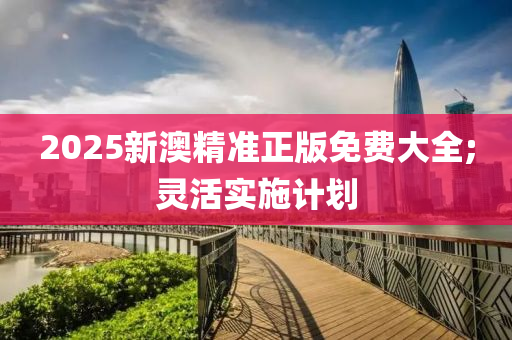 2025新澳精準正版免費大全;靈活實施計劃