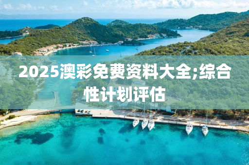 2025澳彩免費(fèi)資料大全;綜合性計(jì)劃評估