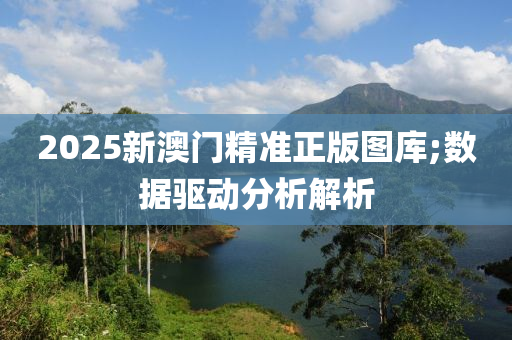 2025新澳門精準正版圖庫;數(shù)據(jù)驅(qū)動分析解析