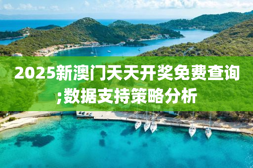 2025新澳門天天開獎免費(fèi)查詢;數(shù)據(jù)支持策略分析