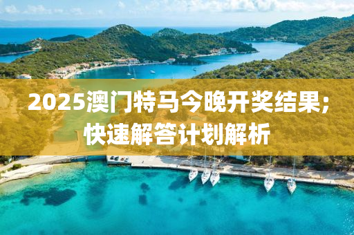 2025澳門特馬今晚開獎結(jié)果;快速解答計劃解析木工機械,設(shè)備,零部件