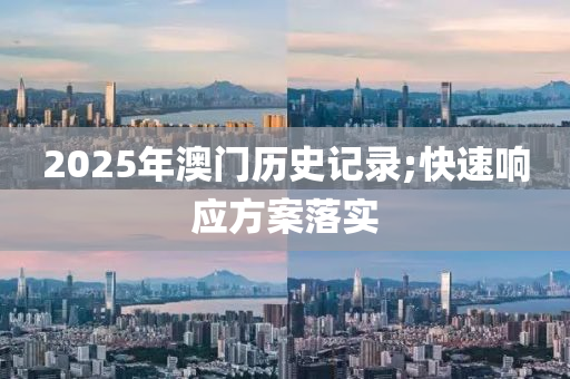 2025年澳門歷史記錄;快速響應方案落實