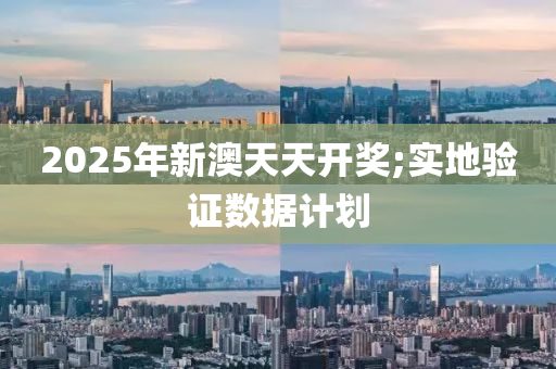 2025年新澳天天開獎;實(shí)地驗證數(shù)據(jù)計劃