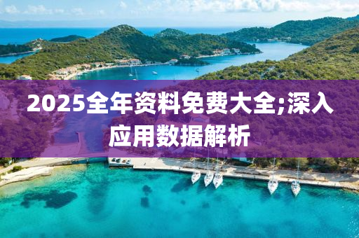 2025全年資料免費大全;深入應用數(shù)據(jù)解析木工機械,設備,零部件