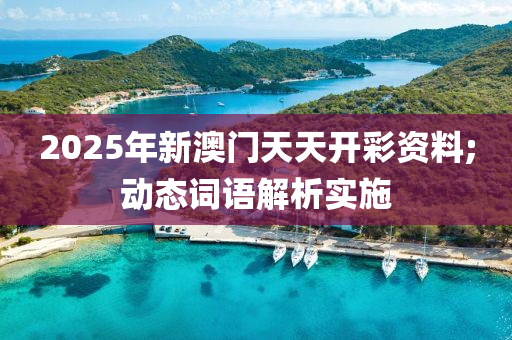 2025年新澳門天天開彩資料;動(dòng)態(tài)詞語解析實(shí)施