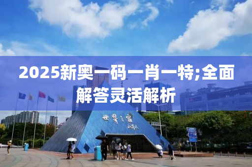 2025新奧一碼一肖一特;全面解答靈活解析木工機(jī)械,設(shè)備,零部件