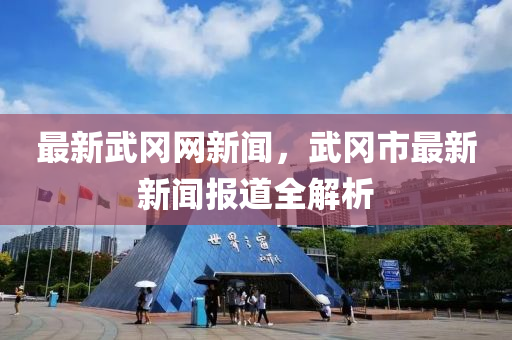 最新武岡網新聞，武岡市最新新聞報道全解析木工機械,設備,零部件