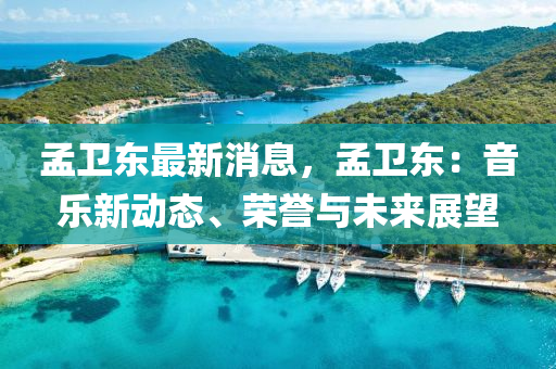 孟衛(wèi)東最新消息，孟衛(wèi)東：音樂新動態(tài)、榮譽與木工機械,設備,零部件未來展望