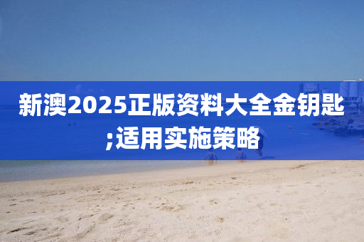 新澳2025正版資料大全金鑰匙;適用實(shí)施策略