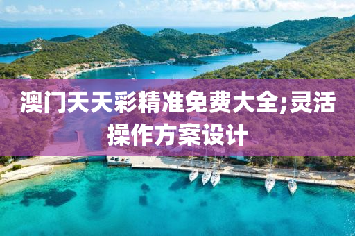 澳門天天彩精準免費大全;靈活操作方案設(shè)計