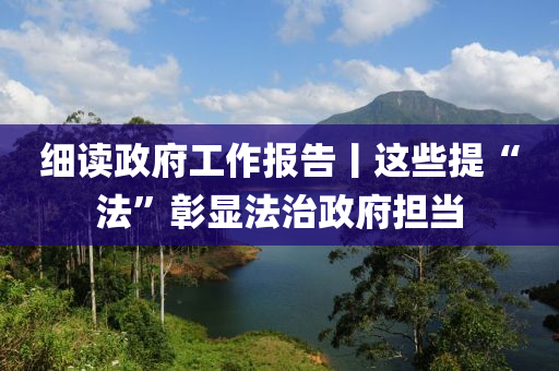 細讀政府工作報告丨這些提“法”彰顯法治政府擔當