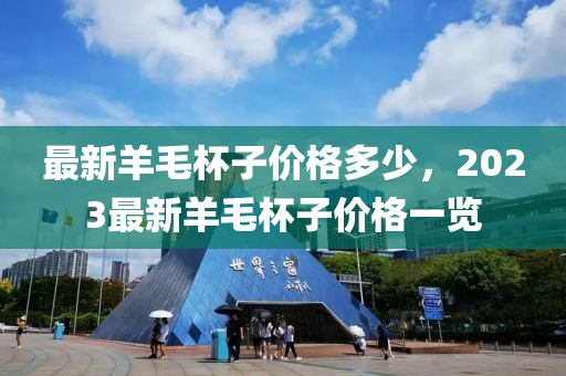 最新羊毛杯子價(jià)格多少，2023最新羊毛杯子價(jià)格一覽