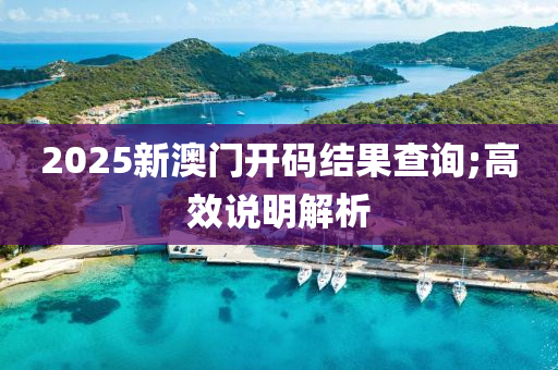 2025新澳門開碼結(jié)果查詢;高效說明解析