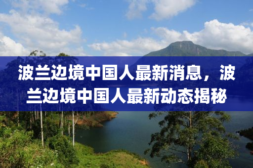 波蘭邊境中國(guó)人最新消息，波蘭邊境中國(guó)人最新動(dòng)態(tài)揭秘