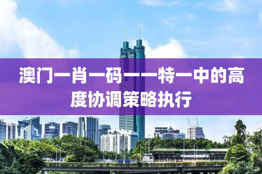 澳門一肖一碼一一特一中的高度協(xié)調(diào)策略執(zhí)行木工機械,設(shè)備,零部件