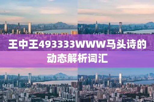 王中王493333WWW馬頭詩的動態(tài)解析詞匯