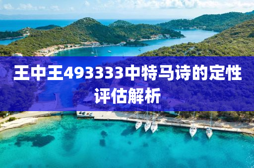 王中王493333中特馬詩的定性評估解析木工機械,設(shè)備,零部件