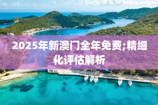 2025年新澳門全年免費;木工機(jī)械,設(shè)備,零部件精細(xì)化評估解析