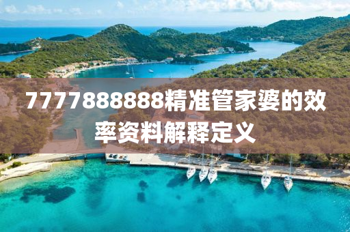 7777888888精準(zhǔn)管家婆的效率資料解釋定義木工機械,設(shè)備,零部件