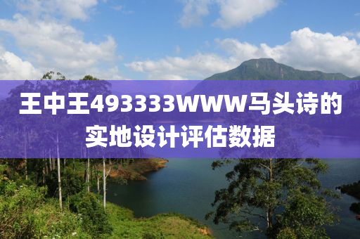 王中王4933木工機械,設備,零部件33WWW馬頭詩的實地設計評估數據