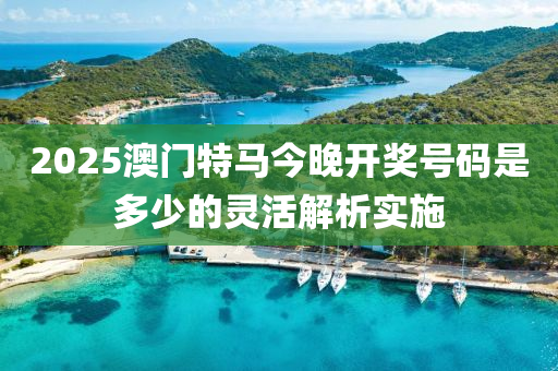 2025澳門特馬今晚開獎號碼是多少的靈活解析實施