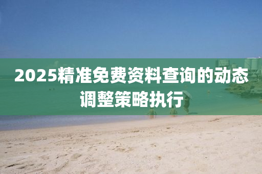 2025精準免費資料查詢的動態(tài)調(diào)整策略執(zhí)行